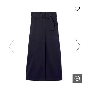 Gorgeous Designer Skirt